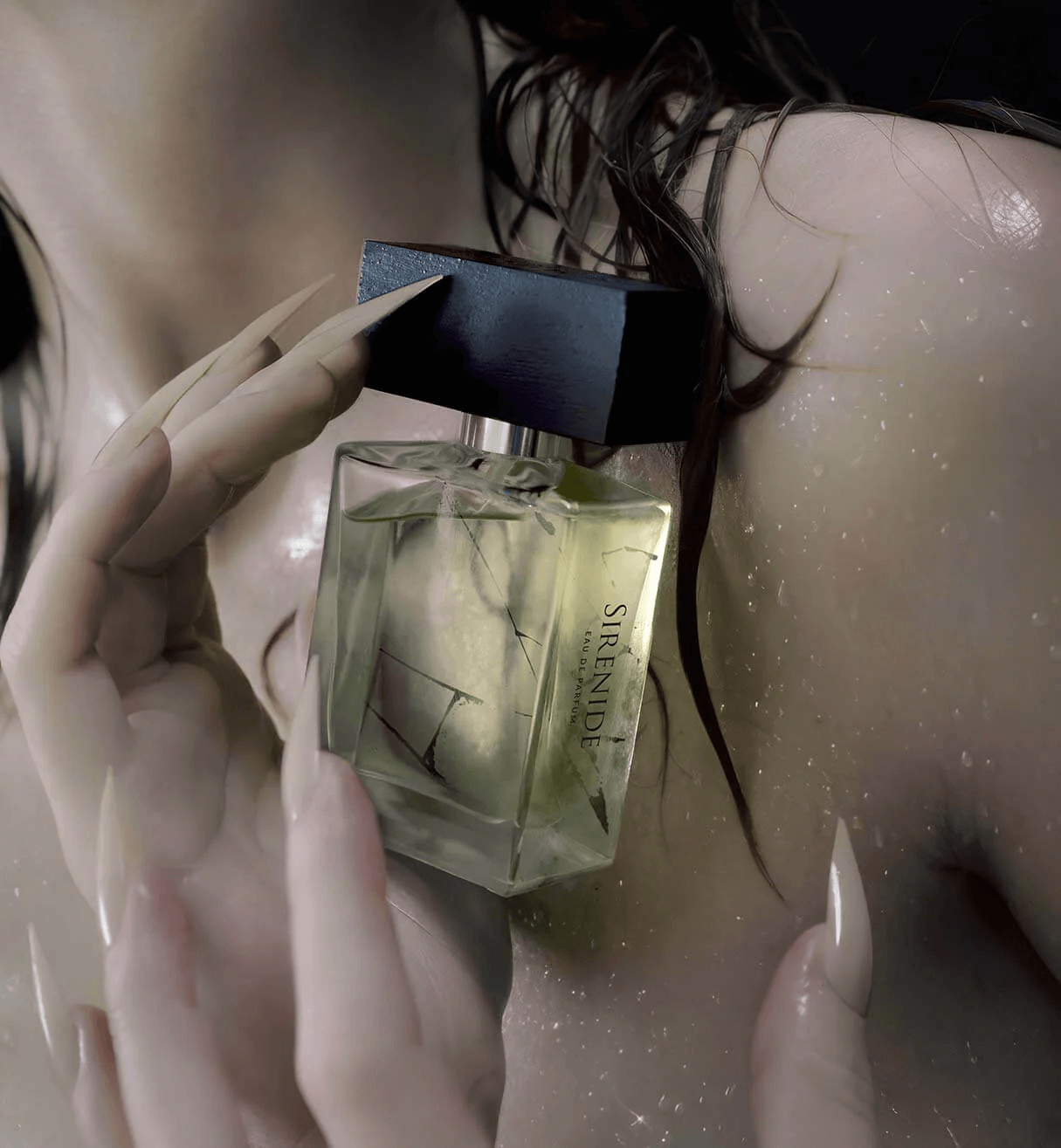 Sirenide